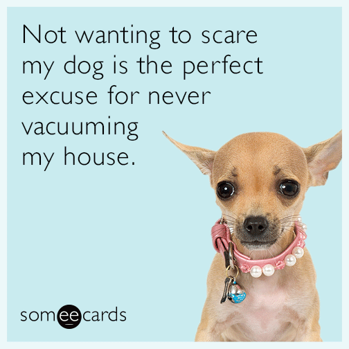 vacuuming-dog-dogs-pet-owners-pets-funny-ecard-toG