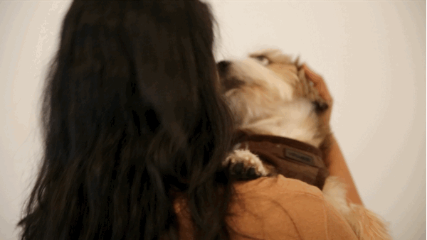 Puppy-kisses