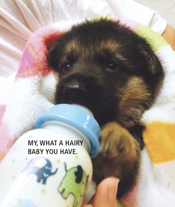 Puppy with Baby Bottle
