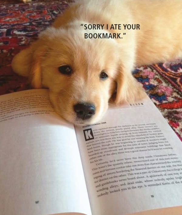 Puppy with Book