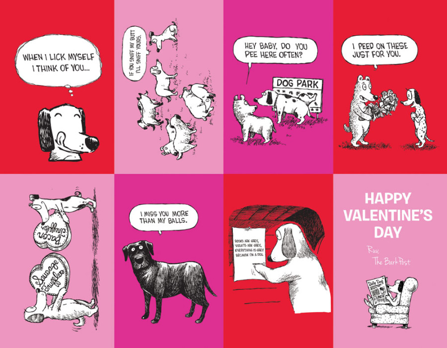Funny Valentines Day Dog Funny Flowers Valentines Dog Valentine's Day Card Valentines Card From Dog Naughty Dog Card Dog Flowers Card