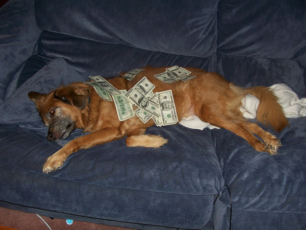 dog-money-e1439057282665