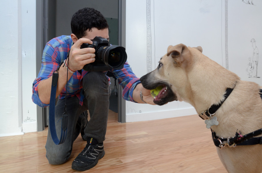 the-dogist-2