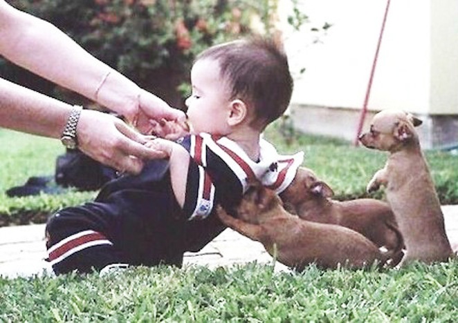 wr3mo-puppies-lifting-baby