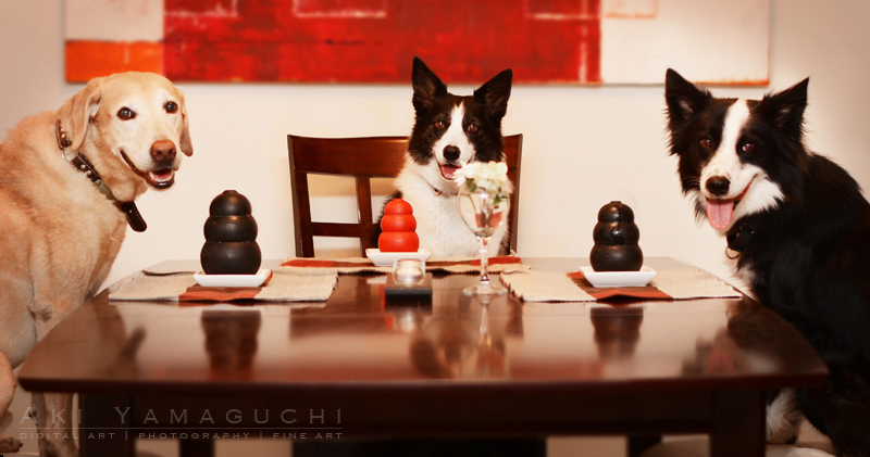 Dinner fit for a Kong, er, king! Cooper and Jazzy teach foster dog Finn some table manners.