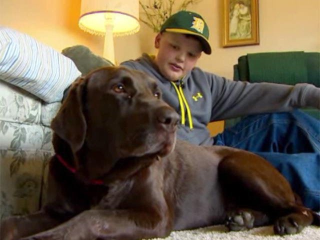 WPTV-Dog-Saved-Washington-Mudslide2_1395754646290_3687006_ver1.0_640_480