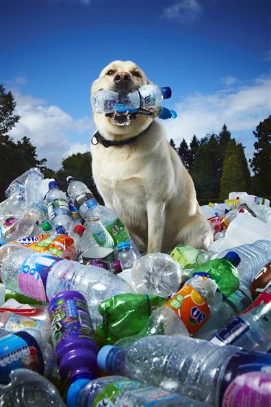 Tubby-recycling-dog2