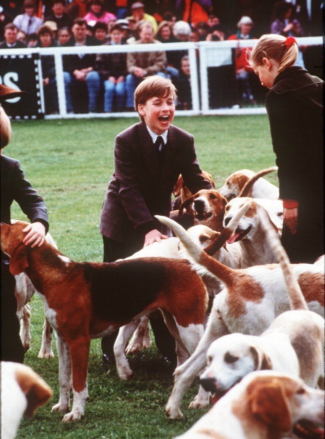 prince wills with dogs