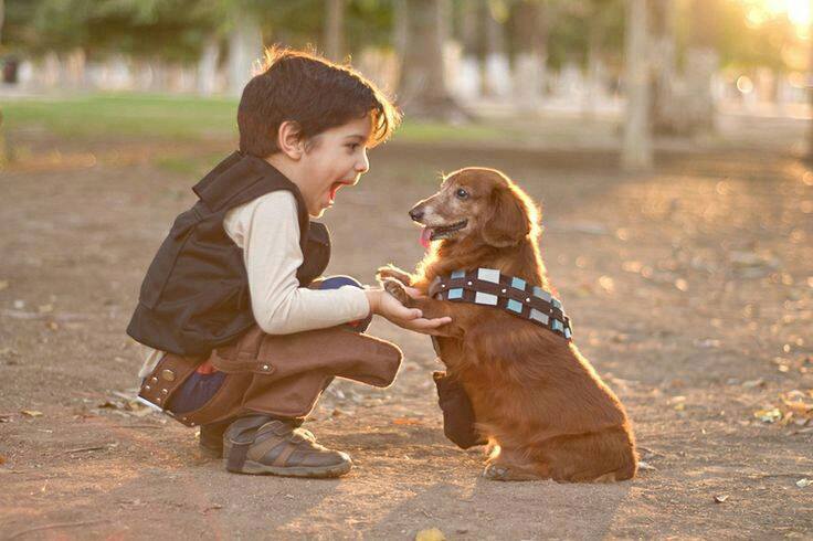 Star-Wars-cosplay-kids-dogs-1092052