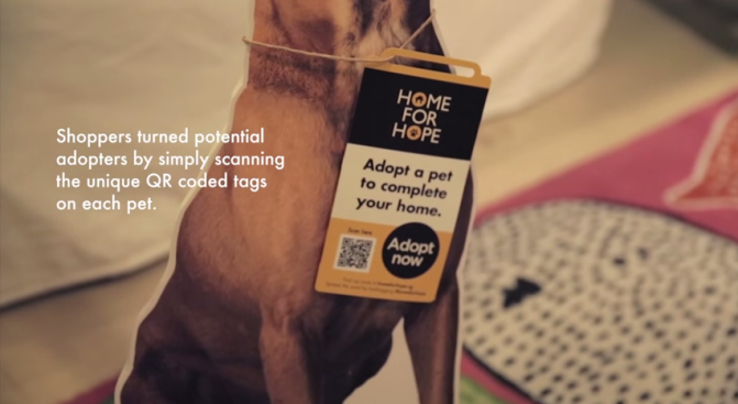 home-for-hope-dog-adoption