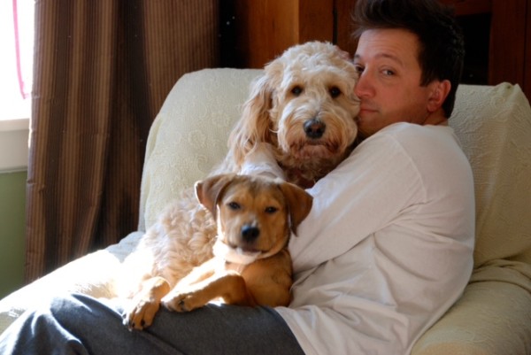 Stacey Todd Holt of Rocky, Lilly the Golden Doodle and Lucy