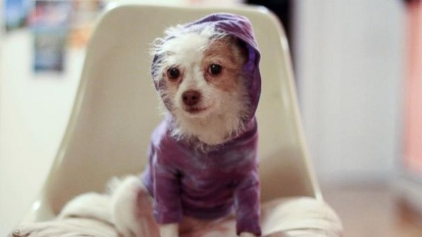 susie!