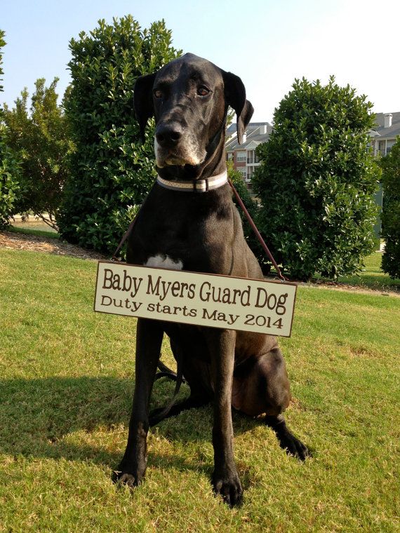 Baby Guard Dog