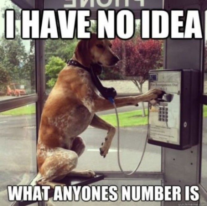 dog phone booth