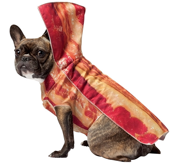 bacon-dog-costume