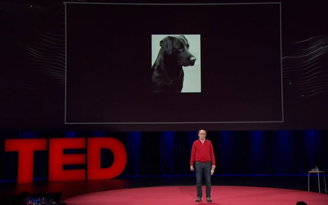 Image via TED Talks