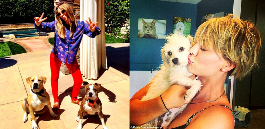 Image via Celebrities and their Rescue Dogs