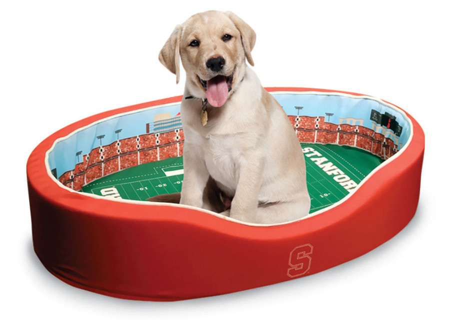 19 Of The Most Outrageous Dog Products SkyMall Has To Offer - BARK Post