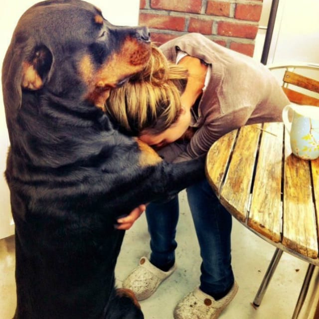 dog hug