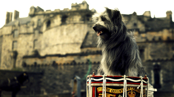 greyfriars-bobby