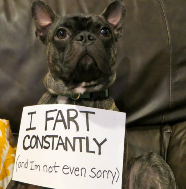 i fart constantly