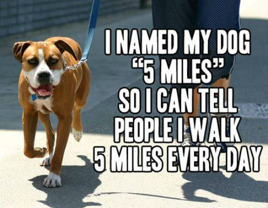 i-named-my-dog-5-miles
