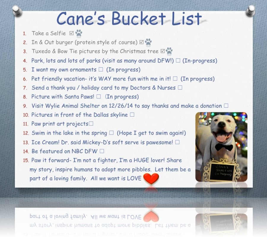 Image via Cane's Bucket List