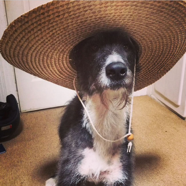 Mexico