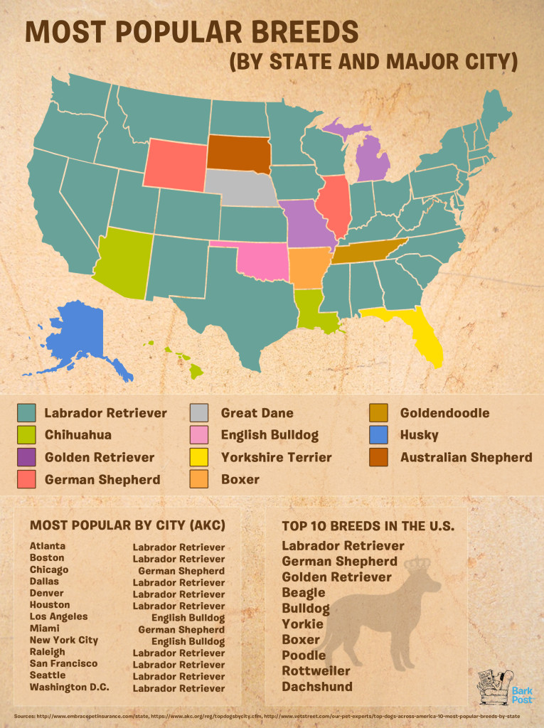 Most Popular Breeds by state and major city