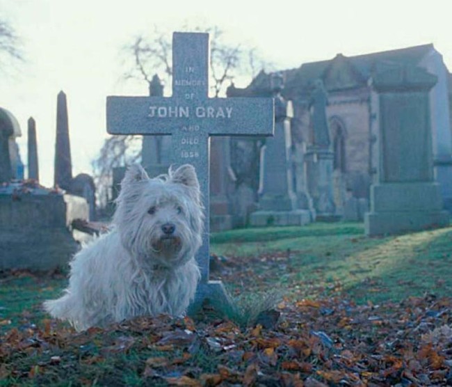greyfriars bobby
