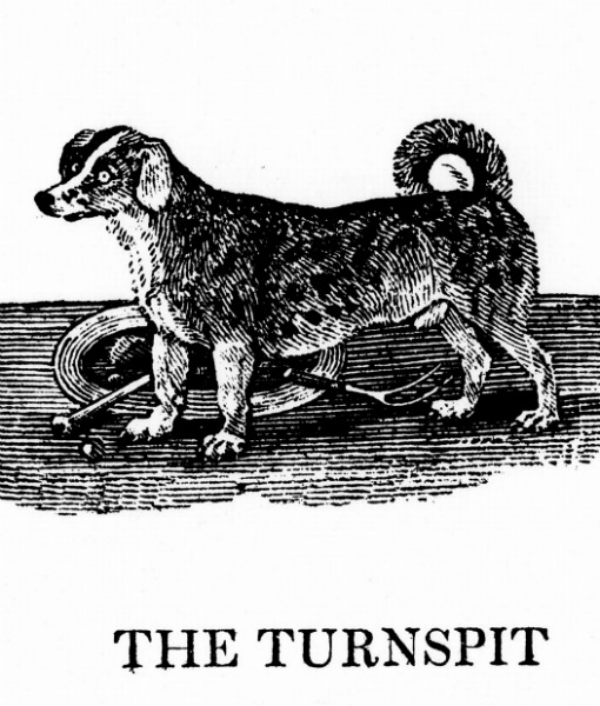 Ye Olde Image via Paw Nation