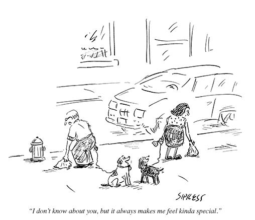 Image via PooPrints