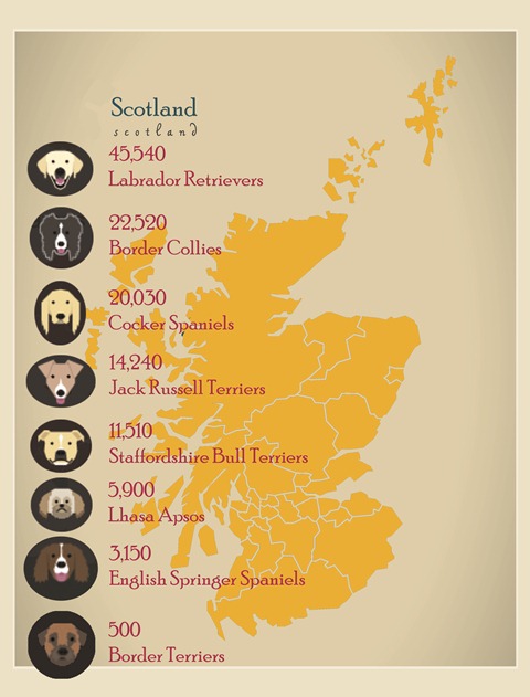 Modern Map - Scotland with regions UK