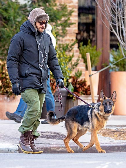 Jake Gyllenhaal walks his dog in downtown NYC