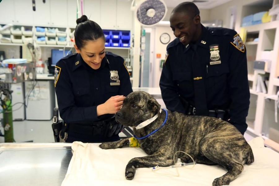 Image via NY Daily News