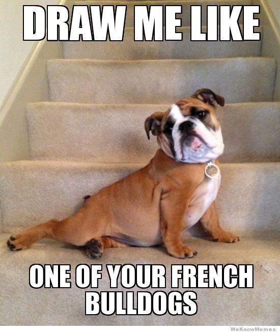 draw-me-like-one-of-your-french-bulldogs