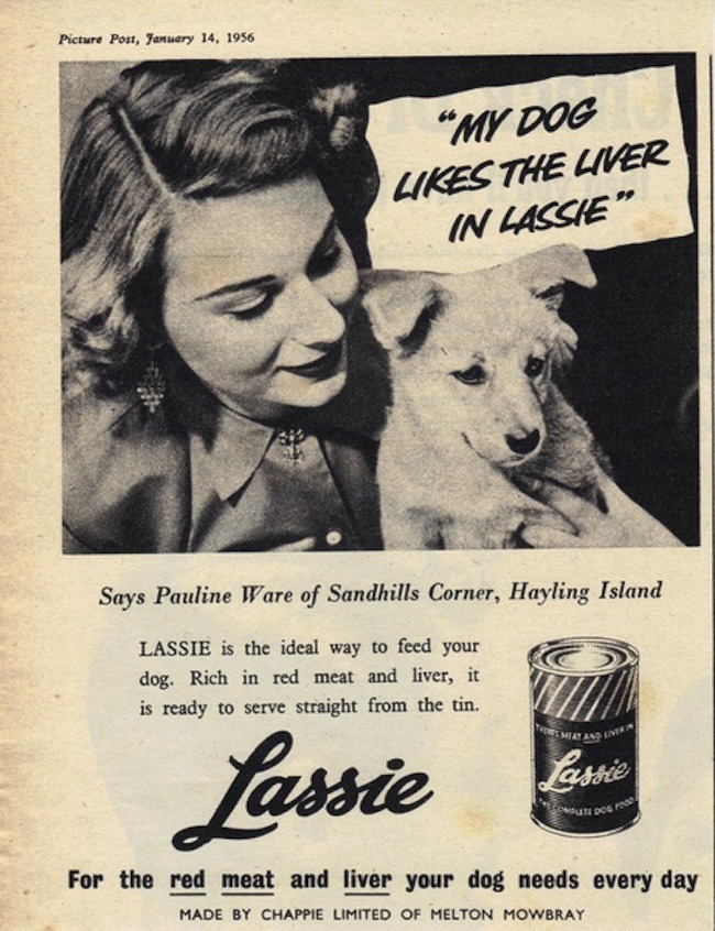 Image via The Dogs