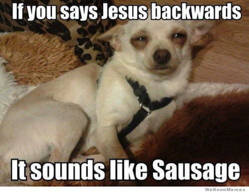 38129d1351563860-favorite-dog-memes-make-stoner-dog-sausage-meme
