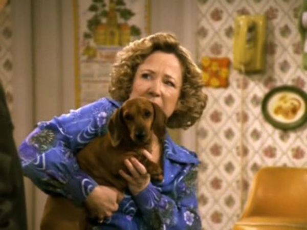 70s show dog polyester