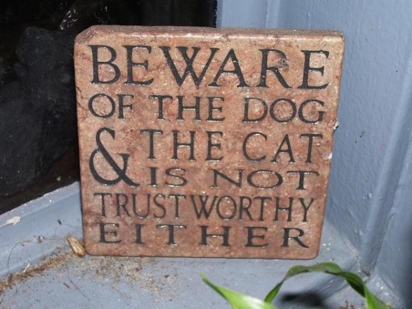 Funny sign that says Beware of the Dog and The Cat is not Trustworthy Either