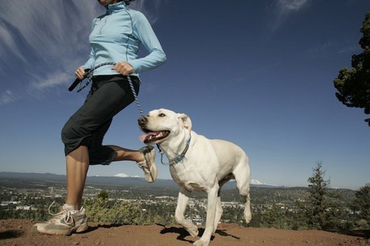 dog-running-with-owner