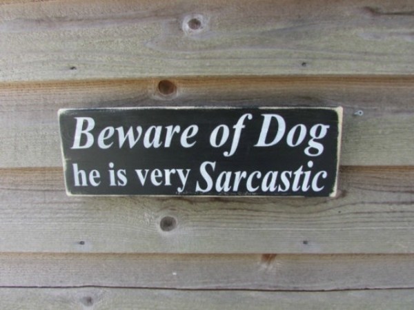 sarcastic_dog