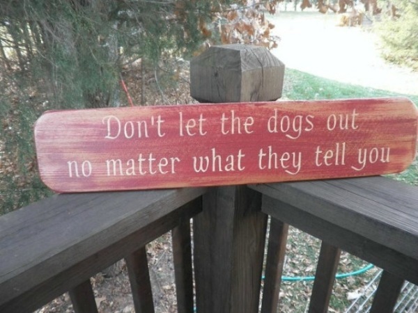 dont_let_the_dogs_out