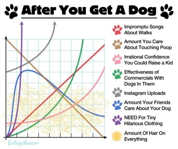 graph_dog