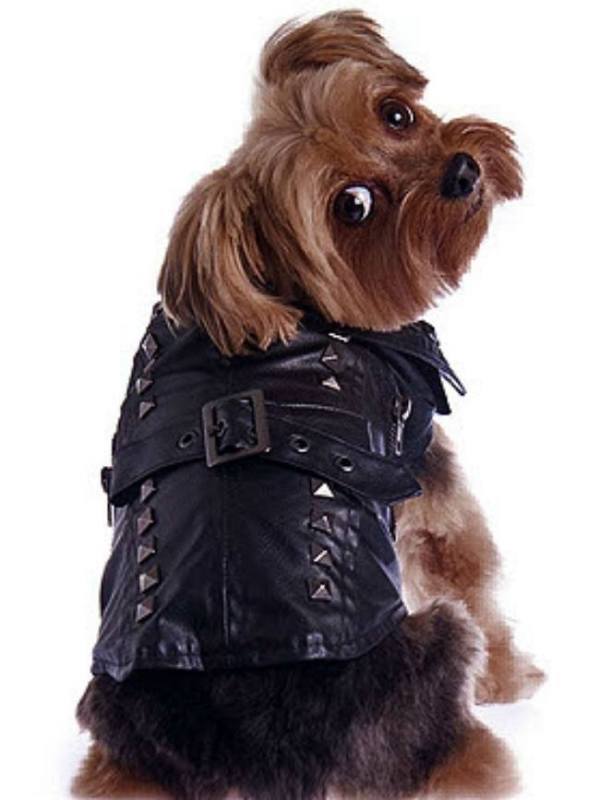 puprwear.com dog pleather jacket