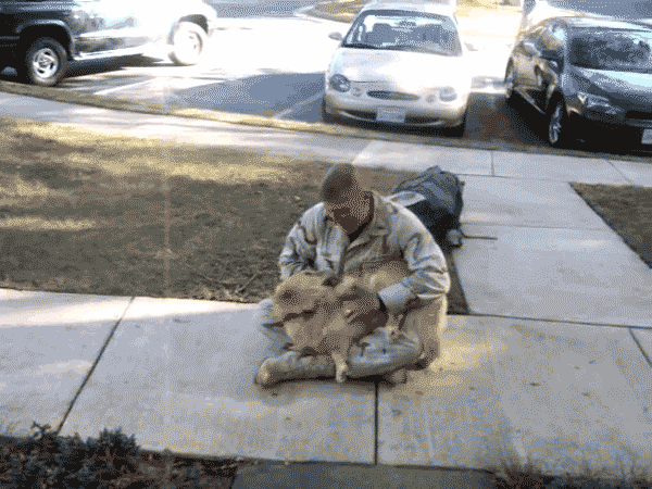 solider holding dog in lap