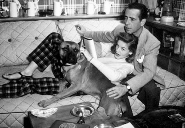 Bacall_and_Bogart and boxer