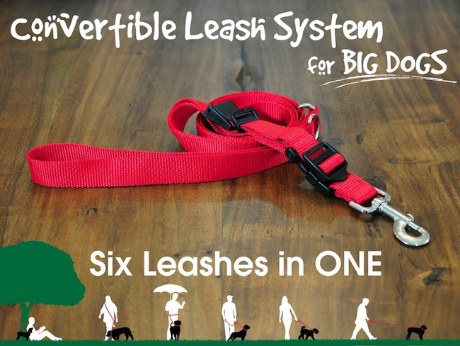 Convertible Leash System
