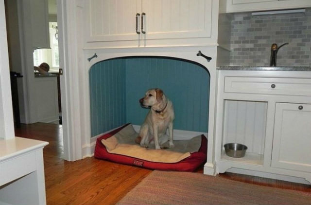 Custom-Built-In-Dog-Bed