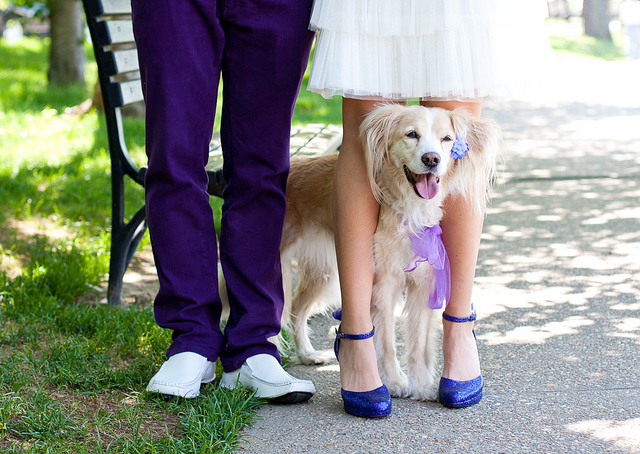 Perfectly Pictured People and Pets in Purple